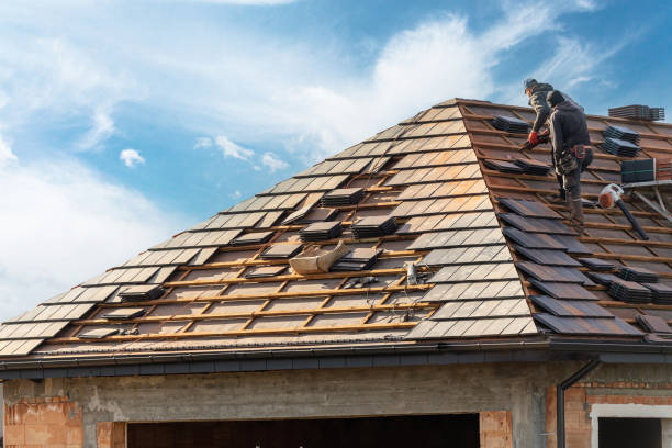 Steel Roofing in Reidland, KY